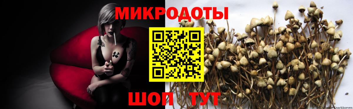 Тайшет  Галлюциногенные грибы Psilocybe  Псилоцибиновые грибы MAGIC MUSHROOMS  Вход с VPN 